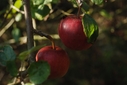 DSC_0118.JPG