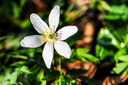 Filnavn=DSC_4121.jpg
Filstørrelse=1466KiB
Dimensioner=1500x998
Dato for tilføjelse=13 Apr, 2024 DSC_4121.jpg