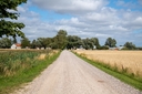 DSC_6561.jpg