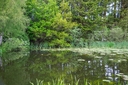 _DSC0252x.jpg