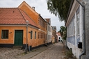 _DSC0308x.jpg