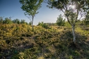 _DSC8179x.jpg