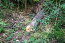_DSC9064x.jpg