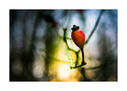 untitled-3800-Edit.jpg