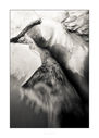 untitled-4129-Edit~0.jpg