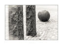 untitled-4140-Edit~0.jpg