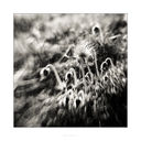 untitled-4210-Edit.jpg