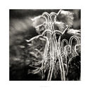Filnavn=untitled-4289-Edit.jpg
Filstørrelse=414KiB
Dimensioner=1000x1000
Dato for tilføjelse=17 Maj, 2018 untitled-4289-Edit.jpg