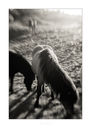 Filnavn=untitled-4341-Edit.jpg
Filstørrelse=248KiB
Dimensioner=713x1000
Dato for tilføjelse=17 Maj, 2018 untitled-4341-Edit.jpg