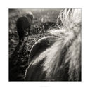 Filnavn=untitled-4342-Edit.jpg
Filstørrelse=354KiB
Dimensioner=1000x1000
Dato for tilføjelse=17 Maj, 2018 untitled-4342-Edit.jpg