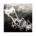 untitled-4358-Edit.jpg