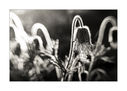 untitled-4363-Edit.jpg