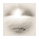 Filnavn=untitled-4494-Edit.jpg
Filstørrelse=380KiB
Dimensioner=1000x1000
Dato for tilføjelse=31 Maj, 2018 untitled-4494-Edit.jpg