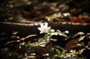 DSC01882.JPG