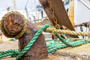 Filnavn=20220907_hirtshals_foto_2010-3009.jpg
Filstørrelse=1388KiB
Dimensioner=1500x1000
Dato for tilføjelse=04 Okt, 2022 20220907_hirtshals_foto_2010-3009.jpg