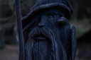 20220921_oksengaard_tornby_foto_2010-3149.jpg