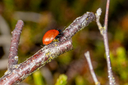 20230531_tversted_rimmer_foto_2010-0940.jpg