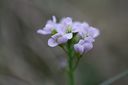 IMG_6562~1.JPG