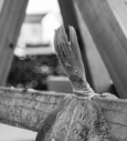 DSC_6250.jpg
