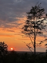 Filnavn=flot_solnedgang.JPG
Filstørrelse=1218KiB
Dimensioner=1200x1600
Dato for tilføjelse=17 Aug, 2026 flot_solnedgang.JPG