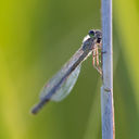 4A5A6063.jpg