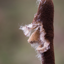 4A5A9605.jpg