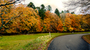 DSC__0121_kopier~0.jpg