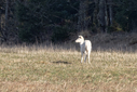 Filnavn=N71A0418.jpg
Filstørrelse=1272KiB
Dimensioner=1499x1000
Dato for tilføjelse=06 Mar, 2022 N71A0418.jpg