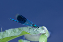 N71A4200.jpg