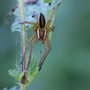 N71A4610.jpg