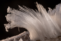 N71A7551.jpg