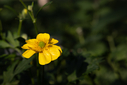 _71A0791.jpg