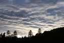 _71A3860.jpg
