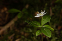 _71A4127.jpg