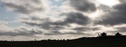 _71A4880.jpg