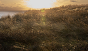 _71A4980.jpg