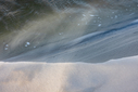 _71A5590.jpg