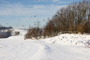 _71A8019.jpg