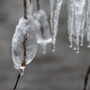 _71A8480.jpg