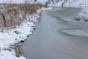 _71A8489.jpg