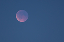_71A8604.jpg