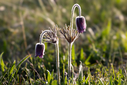 untitled-0397~0.jpg