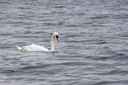 IMG_5758.jpg