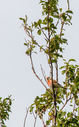IMG_6507-643.jpg
