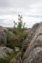 Filnavn=d39377e4-c4c2-4206-8022-40c1a20facd4-1_all_31682.jpg
Filstørrelse=1112KiB
Dimensioner=999x1499
Dato for tilføjelse=10 Sep, 2025 d39377e4-c4c2-4206-8022-40c1a20facd4-1_all_31682.jpg