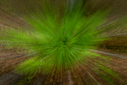 Filnavn=DSC_1112.jpg
Filstørrelse=1546KiB
Dimensioner=1499x1001
Dato for tilføjelse=03 Jun, 2022 DSC_1112.jpg