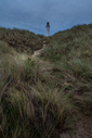 DSC_1410.jpg