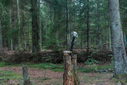 DSC_1426.jpg