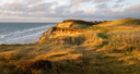 _DSC0031.jpg