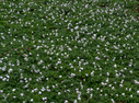 _DSC0295-Edit.jpg